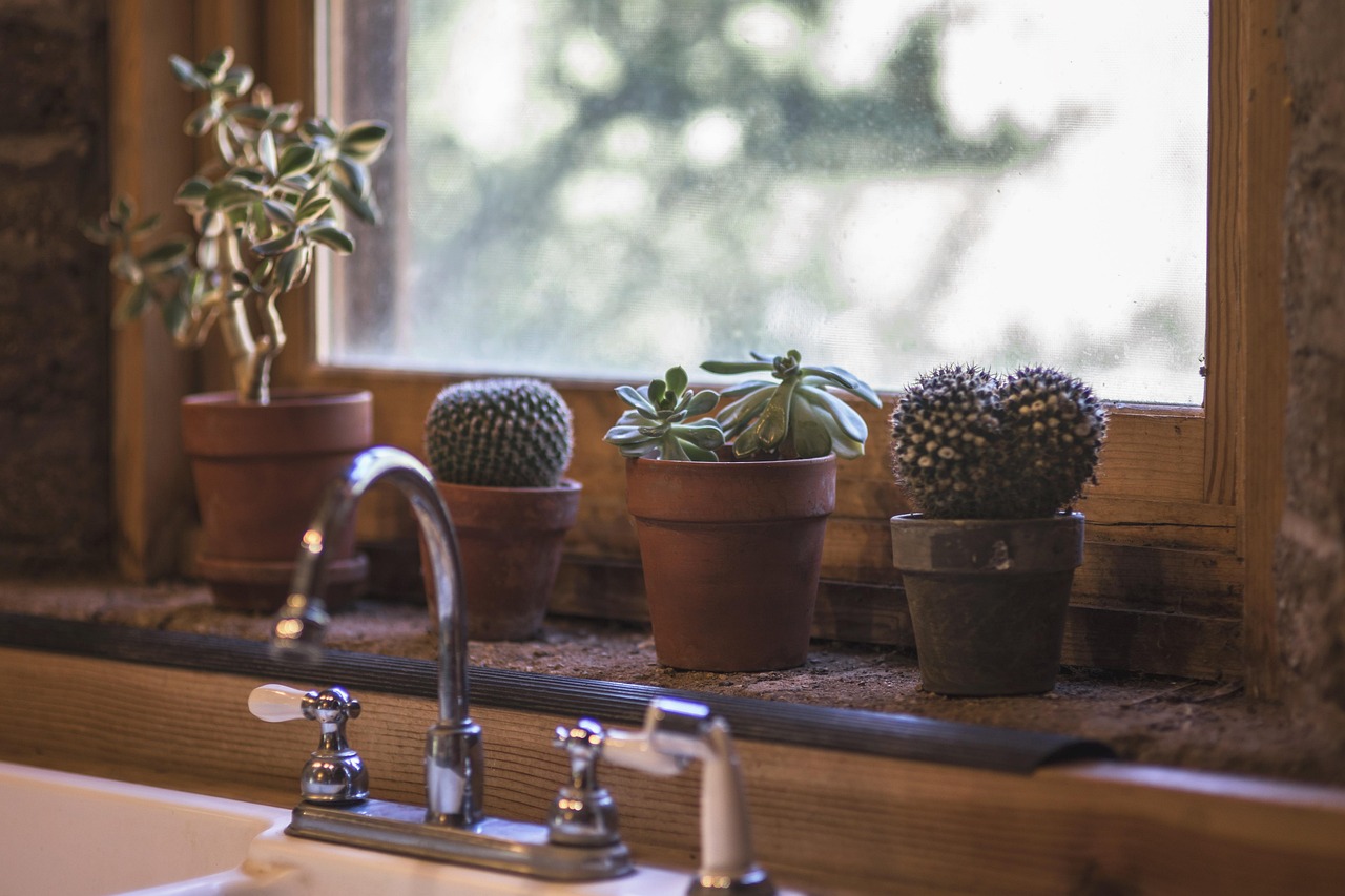 Warm wood-toned kitchen with natural light and a potted plant creating a biophilic, organic sanctuary feel