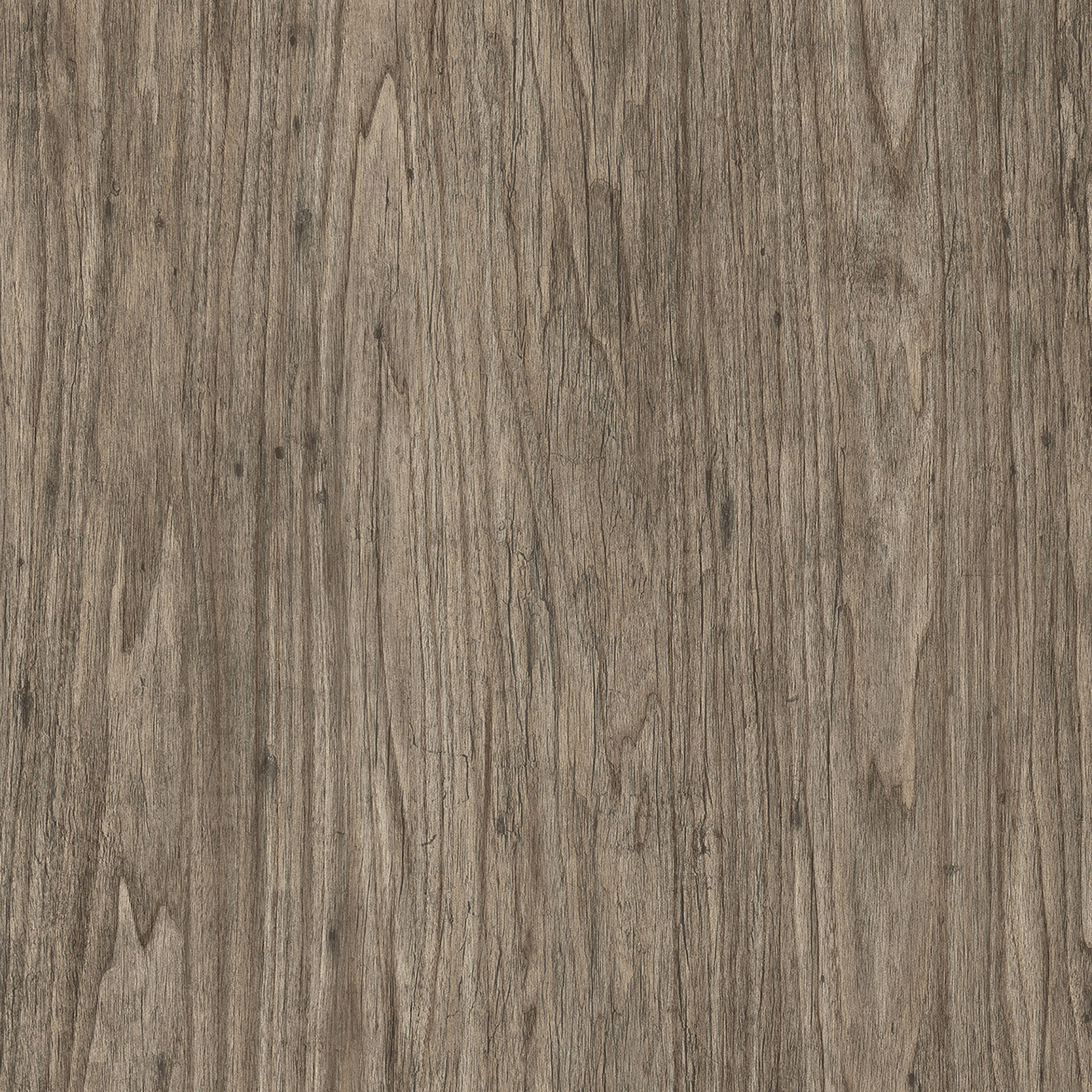 STARGAZER Grey