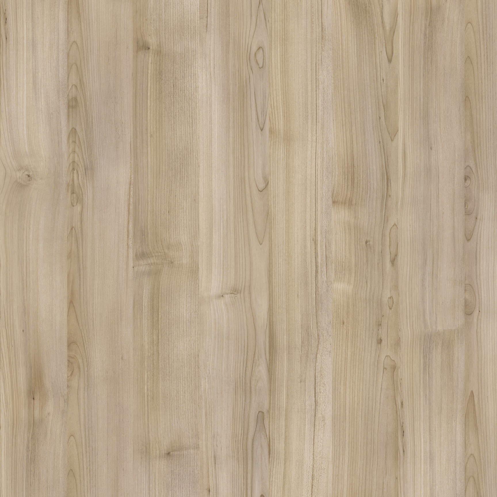 SABLE ISLAND Beige