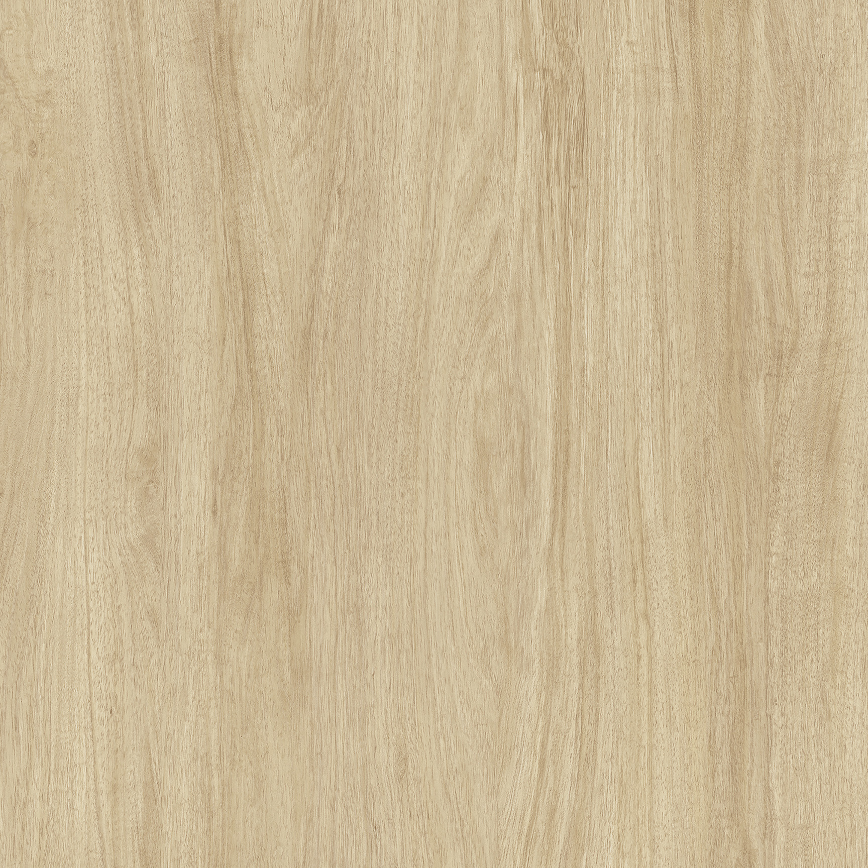 MOJAVE Light Brown