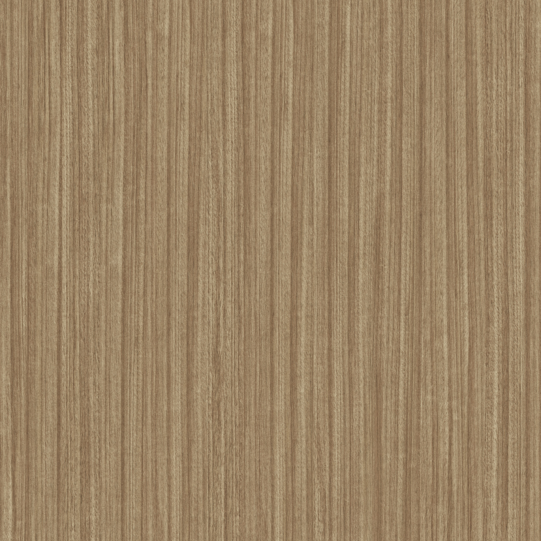 LAURENTIAN PATH Mid Brown