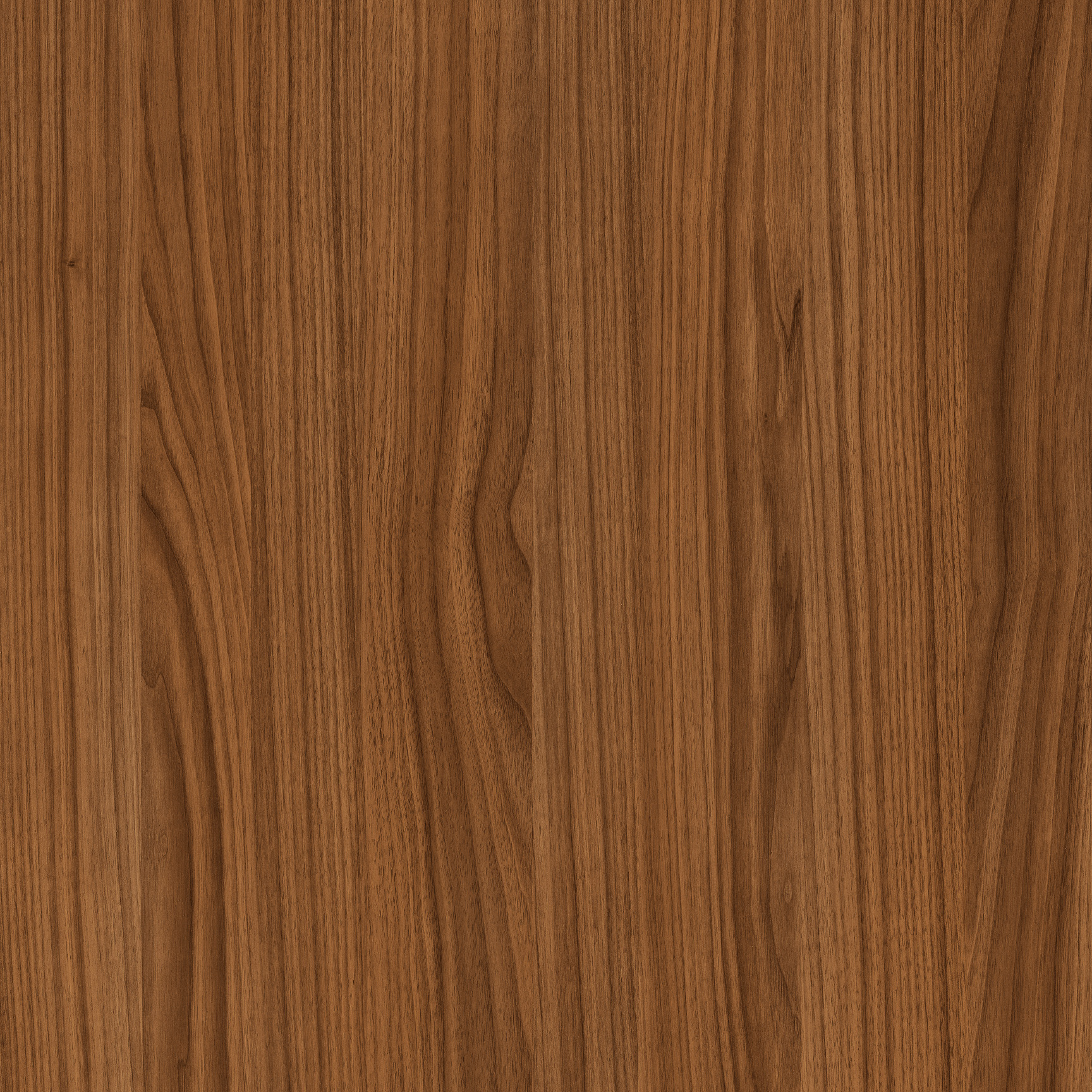 HOT CINNAMON Mid Brown