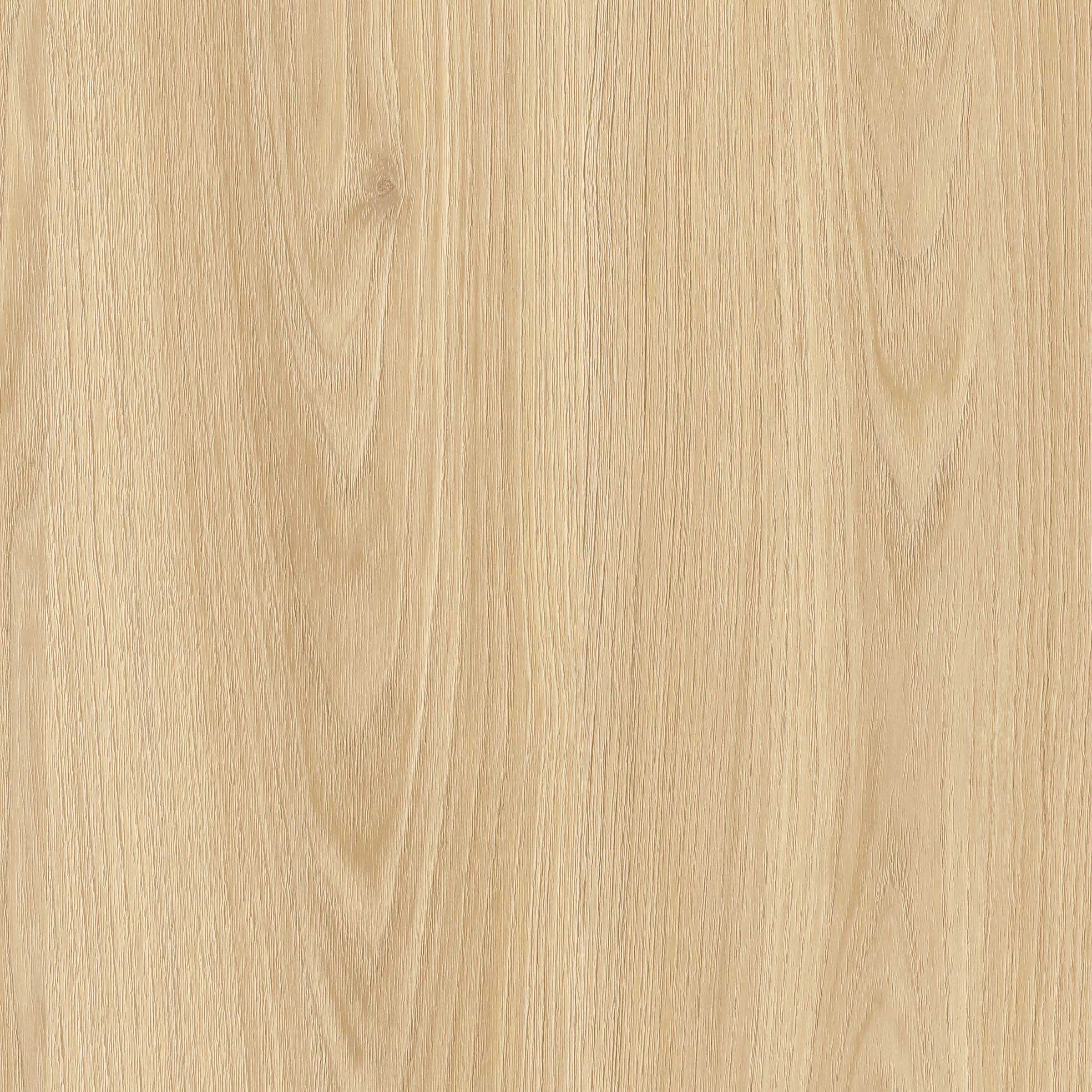 ACCACIA HONEY Light Brown