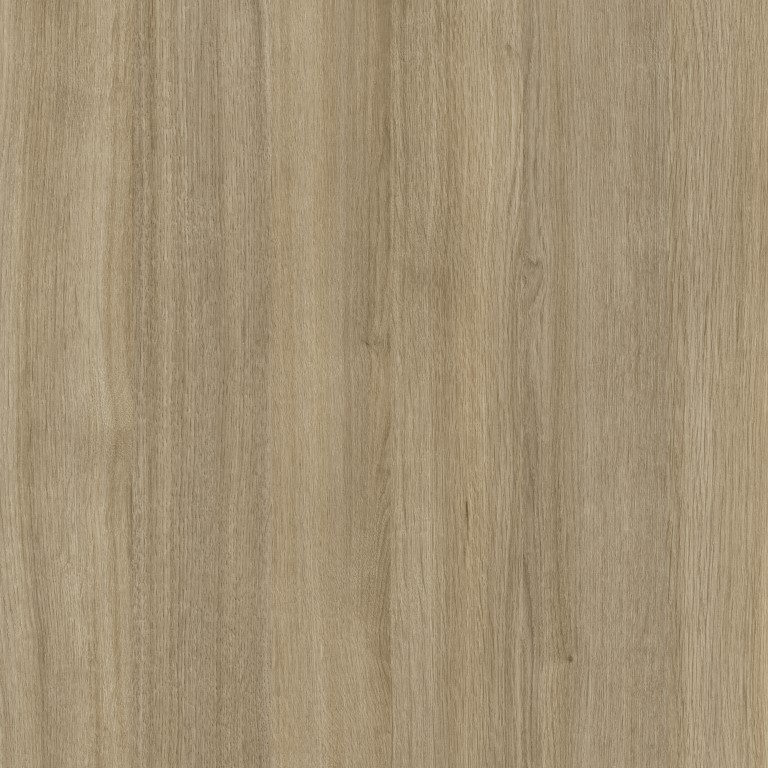 THE CHAMELEON Light Brown
